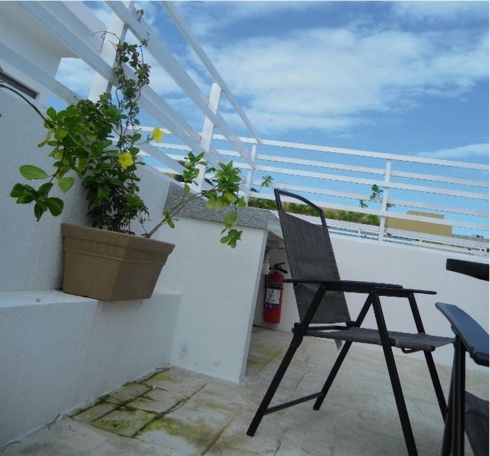 Palmarena & Residences - Long Comfort With Parking, Sauna, Gym & Pool - Steps From 5th Avenue